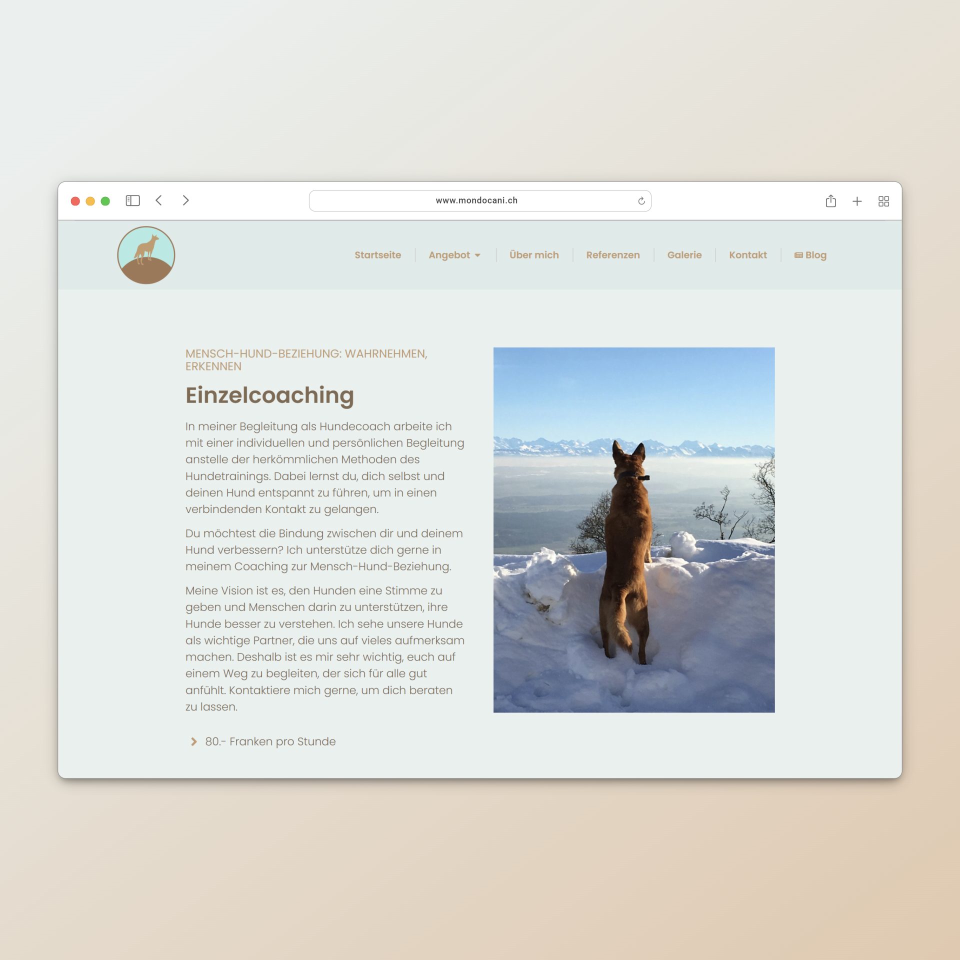 Mondocani Hundeschule Website - Webdesign / Grafikdesign / 3D Visualisierungen - AVOO DESIGN Solothurn, Bern, Schweiz